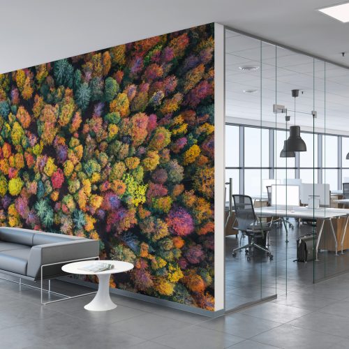 LEC2-330_LEC2-640_Application-Image_Trees-Office-Wall