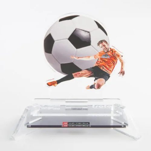 TROPHIES-720x555